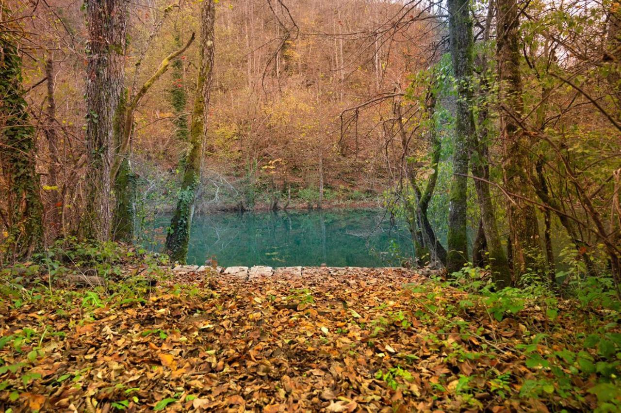 Ecotourism Mrežnica Villa Exterior foto